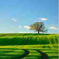 react组‍件‍插‍槽​